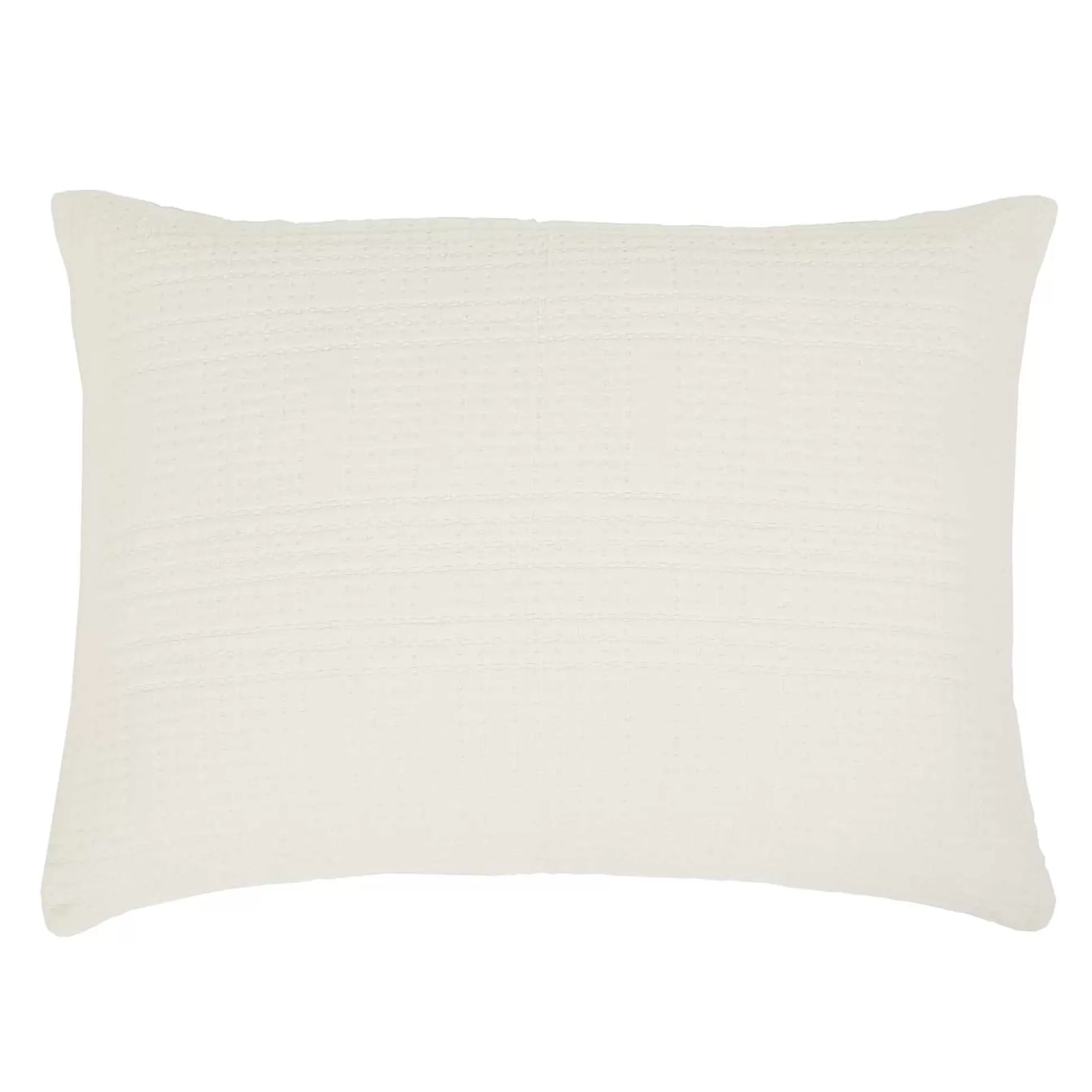 Arrowhead Big Pillow, Cream^Be Home Hot