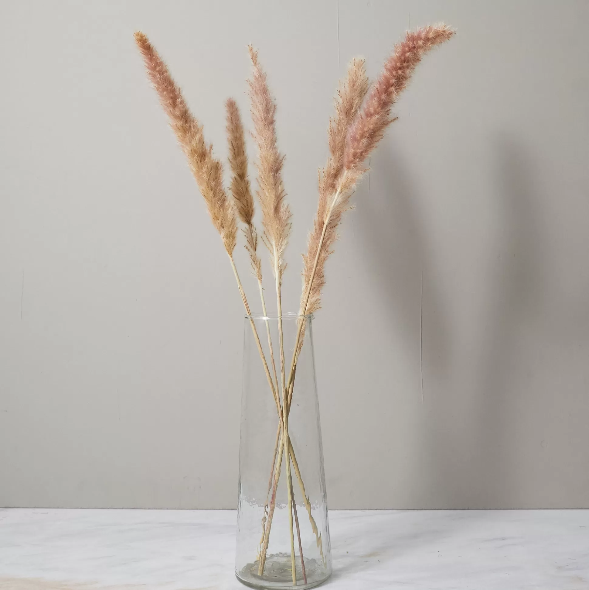 Bunch of Pampas Grass, Small, Brown^Be Home Best Sale