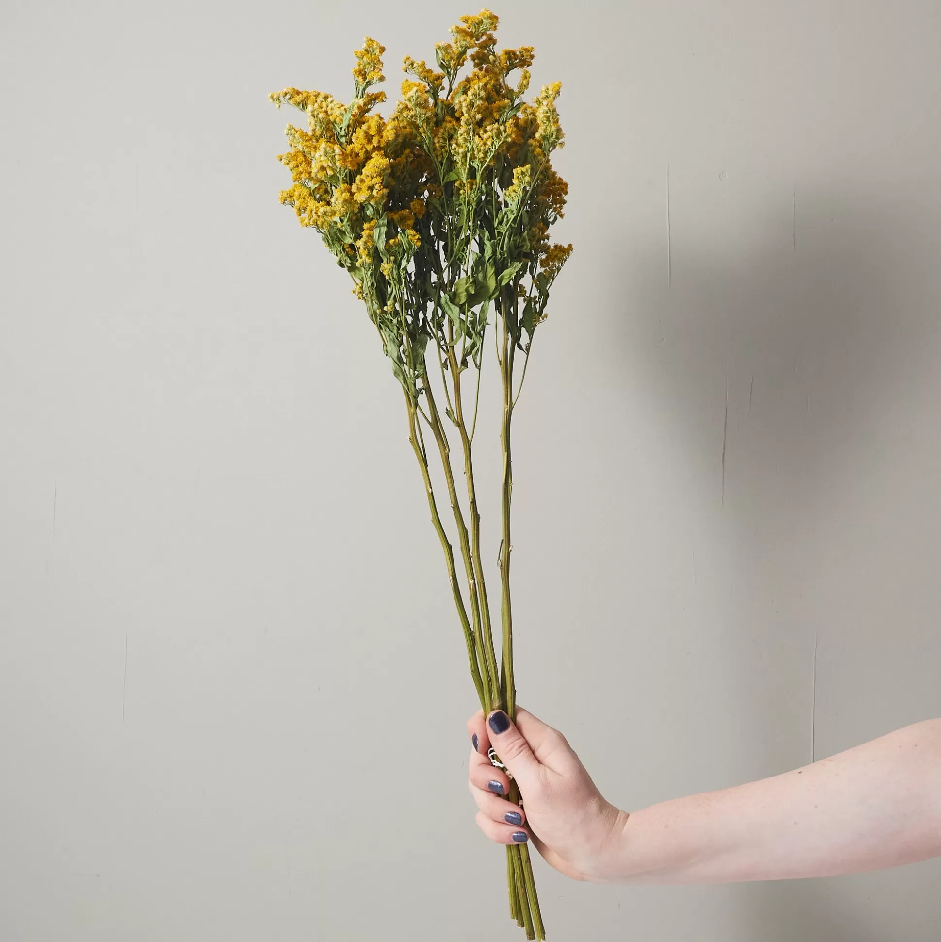 Bunch of Solidago^Be Home Best Sale