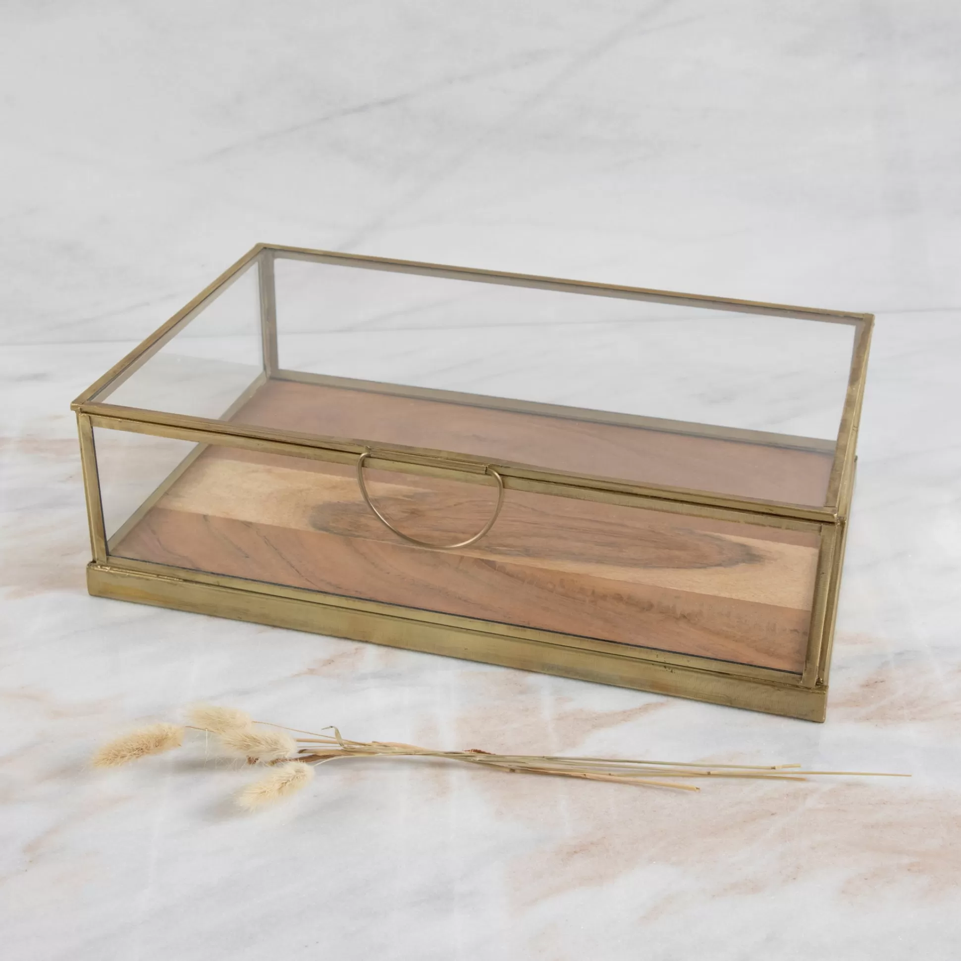 Glass Display Case with Wood Base Medium^Be Home Best Sale