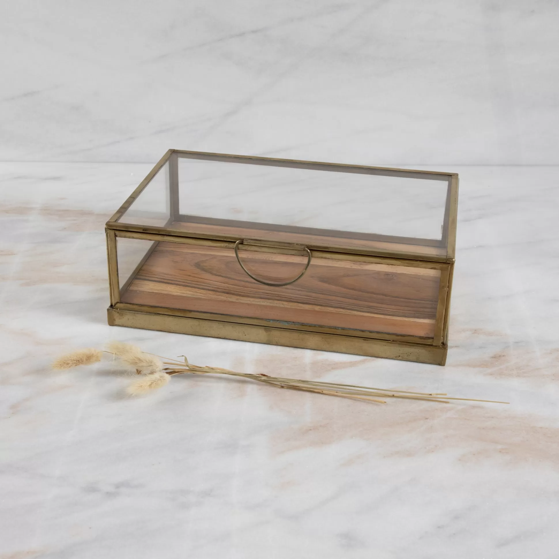 Glass Display Case with Wood Base Small^Be Home Hot