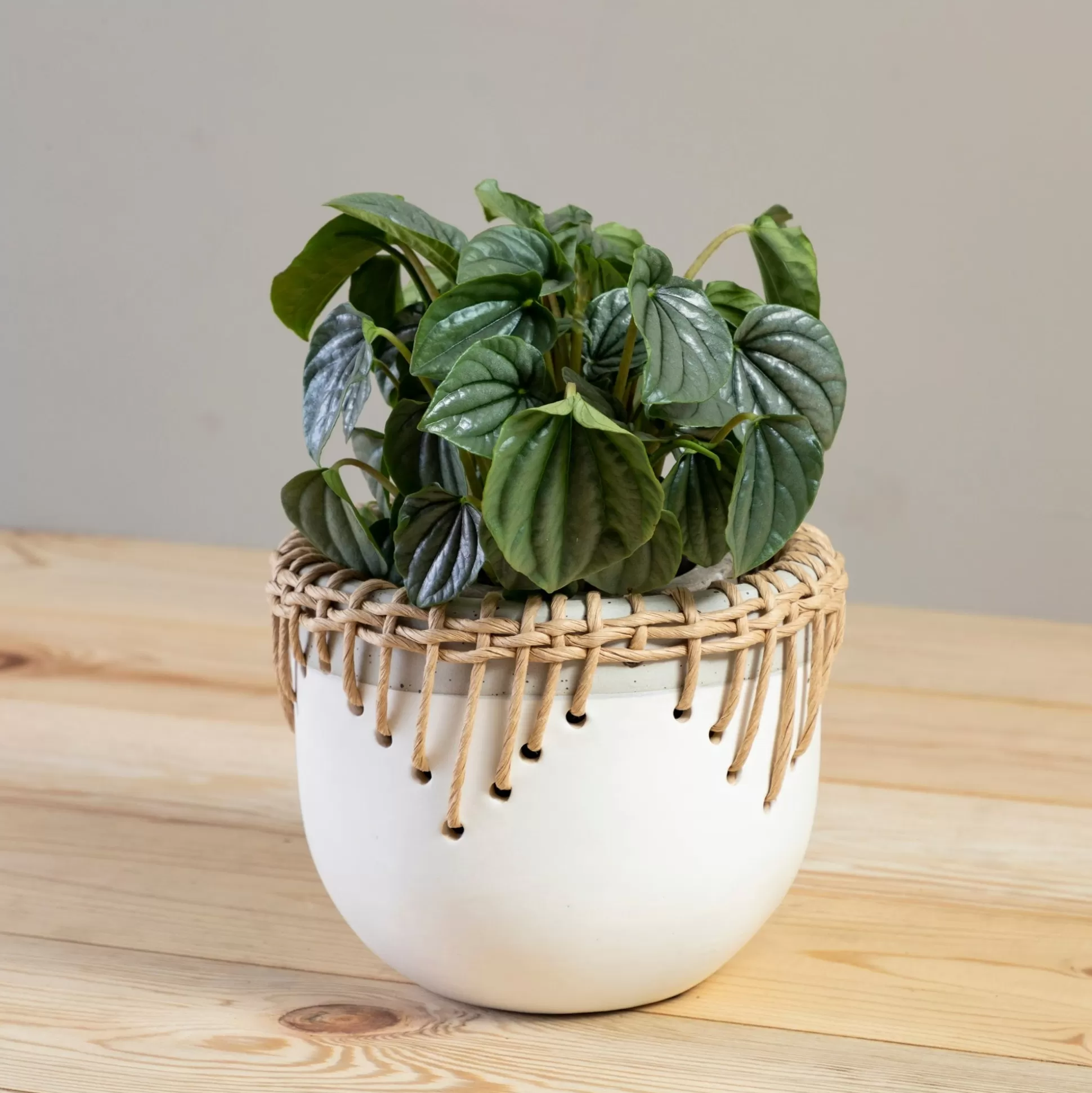 Hideaway Pot^Be Home Shop