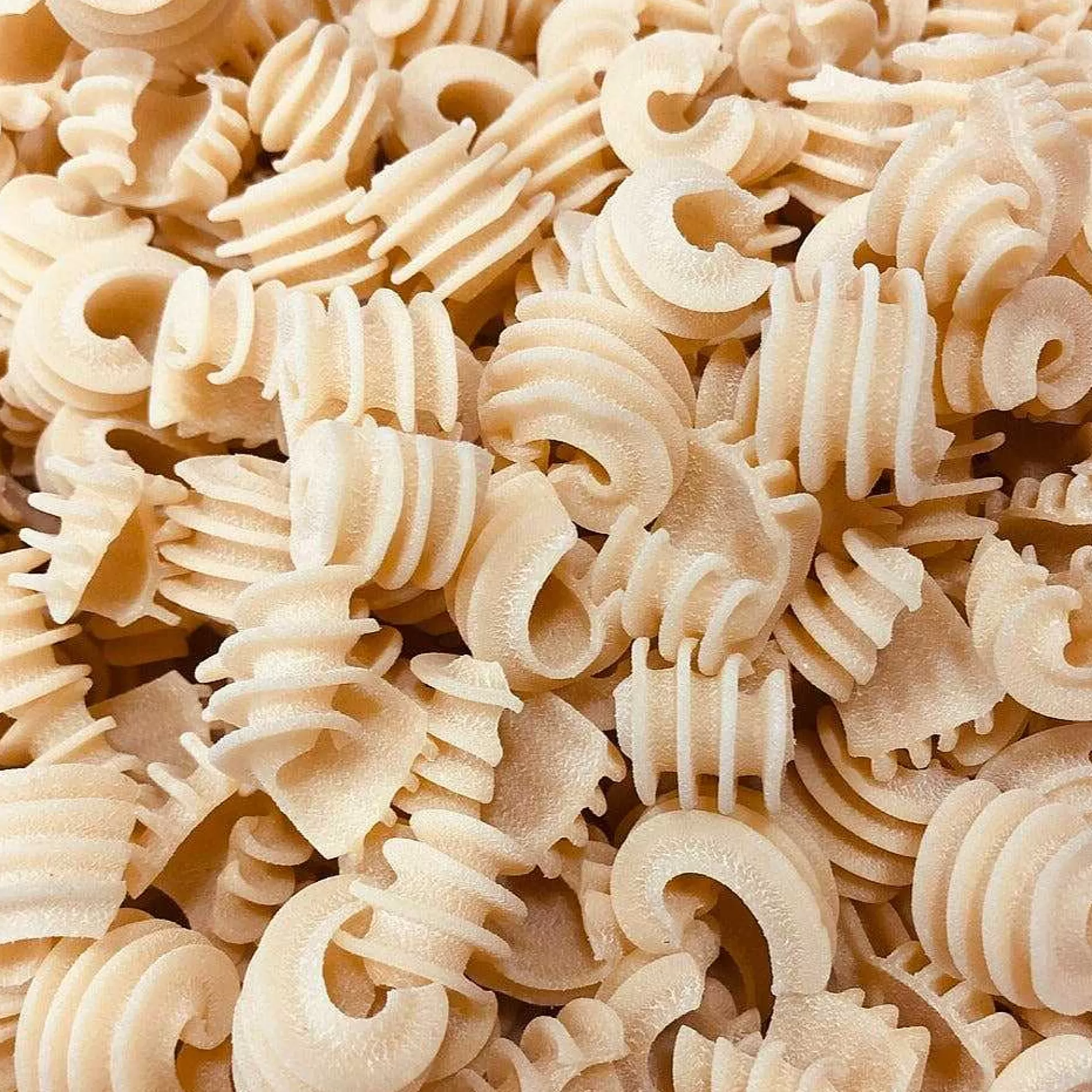 Be Home Pasta & Sauce<Mill Valley Pasta Co. Radiatore Pasta, Porcini